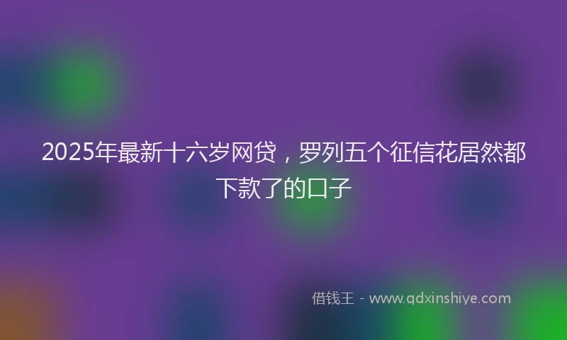 2025年最新十六岁网贷，罗列五个征信花居然都下款了的口子