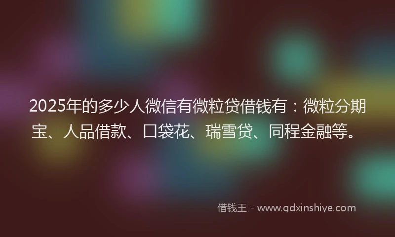 2025年的多少人微信有微粒贷借钱有：微粒分期宝、人品借款、口袋花、瑞雪贷、同程金融等。
