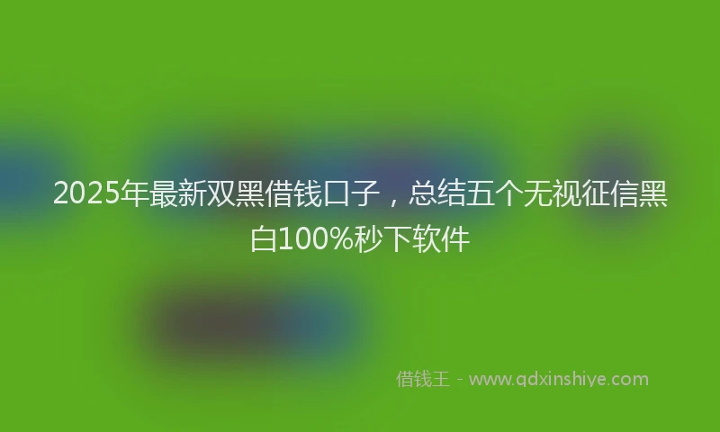 2025年最新双黑借钱口子，总结五个无视征信黑白100%秒下软件