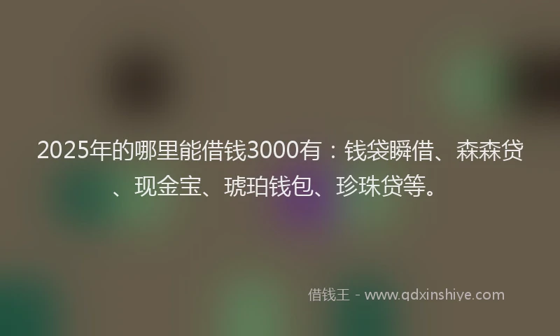 2025年的哪里能借钱3000有：钱袋瞬借、森森贷、现金宝、琥珀钱包、珍珠贷等。