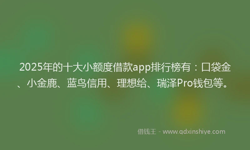 2025年的十大小额度借款app排行榜有：口袋金、小金鹿、蓝鸟信用、理想给、瑞泽Pro钱包等。