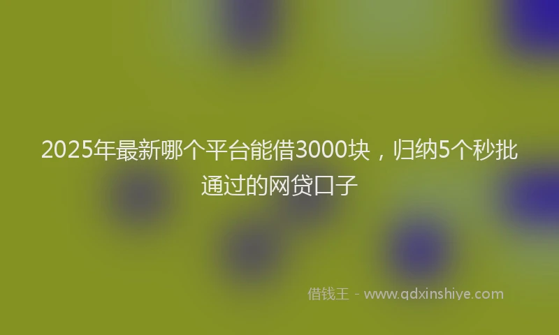 2025年最新哪个平台能借3000块，归纳5个秒批通过的网贷口子