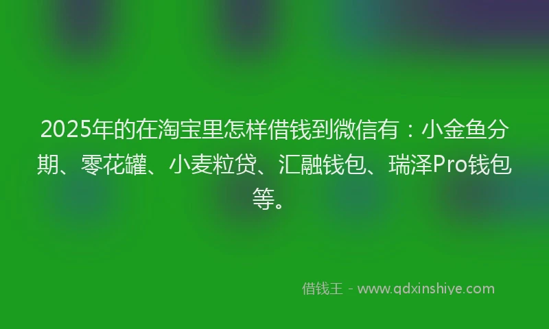2025年的在淘宝里怎样借钱到微信有：小金鱼分期、零花罐、小麦粒贷、汇融钱包、瑞泽Pro钱包等。