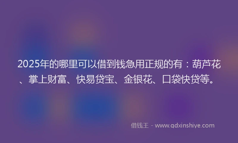 2025年的哪里可以借到钱急用正规的有：葫芦花、掌上财富、快易贷宝、金银花、口袋快贷等。
