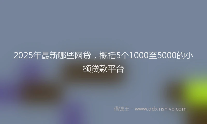 2025年最新哪些网贷，概括5个1000至5000的小额贷款平台