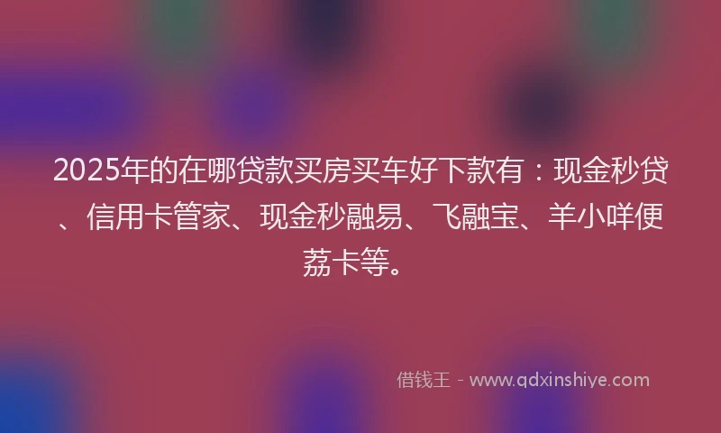 2025年的在哪贷款买房买车好下款有：现金秒贷、信用卡管家、现金秒融易、飞融宝、羊小咩便荔卡等。