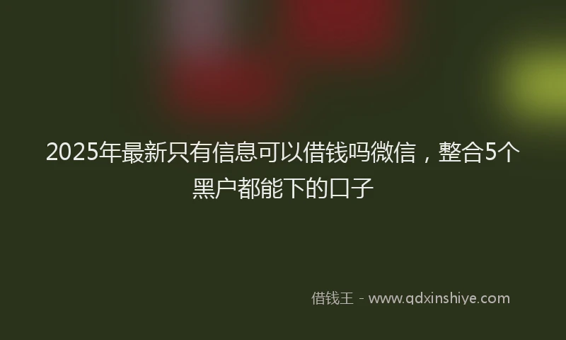 2025年最新只有信息可以借钱吗微信，整合5个黑户都能下的口子