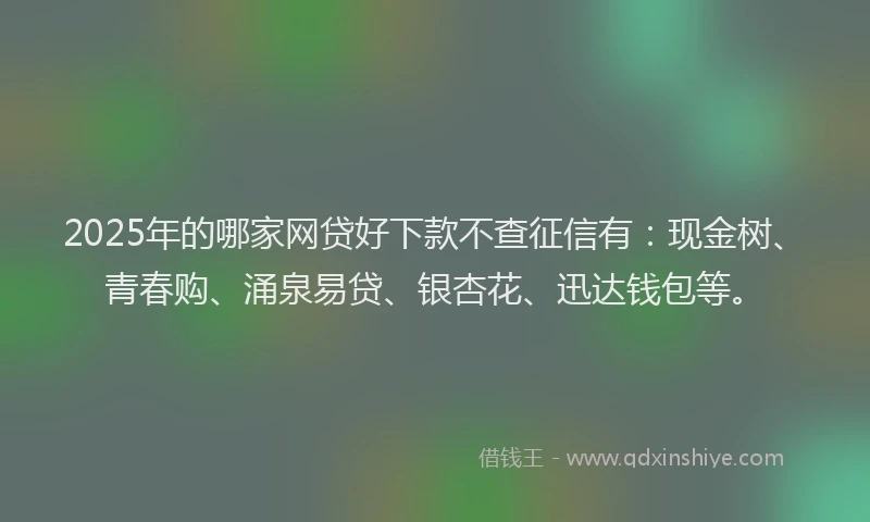 2025年的哪家网贷好下款不查征信有：现金树、青春购、涌泉易贷、银杏花、迅达钱包等。