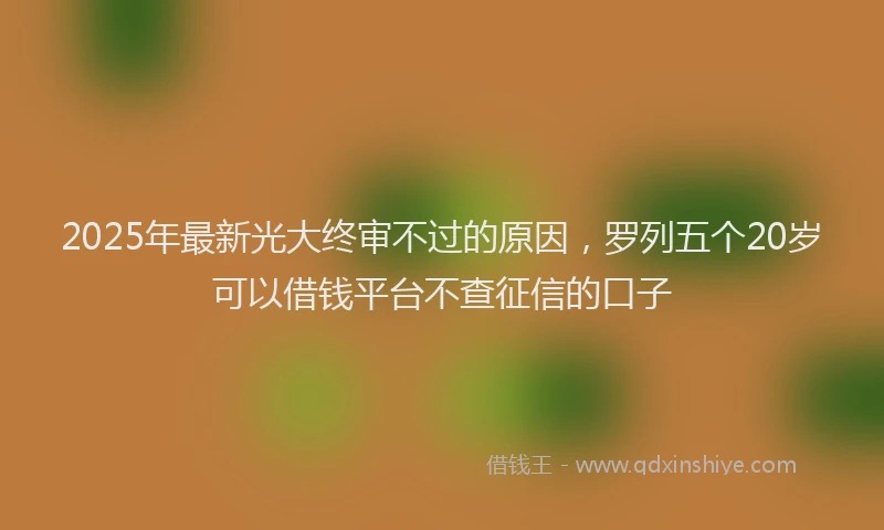 2025年最新光大终审不过的原因，罗列五个20岁可以借钱平台不查征信的口子