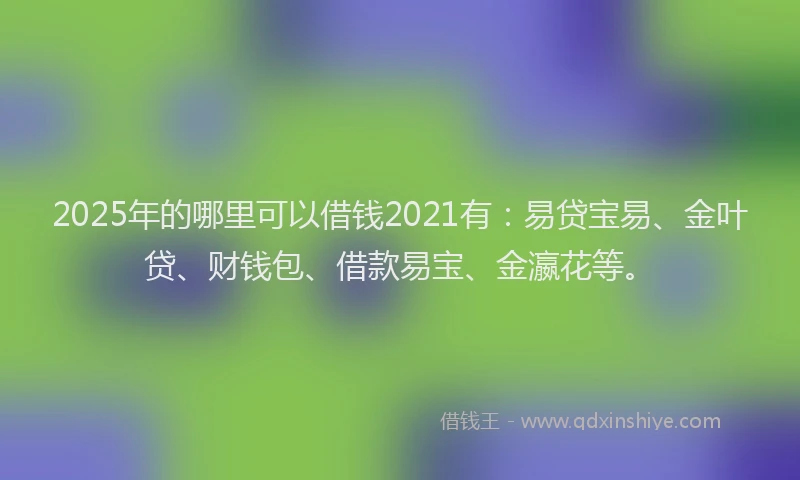 2025年的哪里可以借钱2021有：易贷宝易、金叶贷、财钱包、借款易宝、金瀛花等。