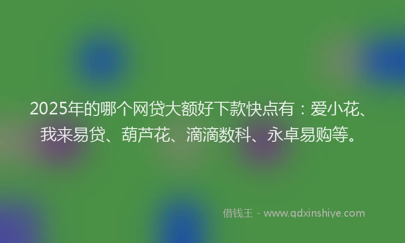 2025年的哪个网贷大额好下款快点有：爱小花、我来易贷、葫芦花、滴滴数科、永卓易购等。