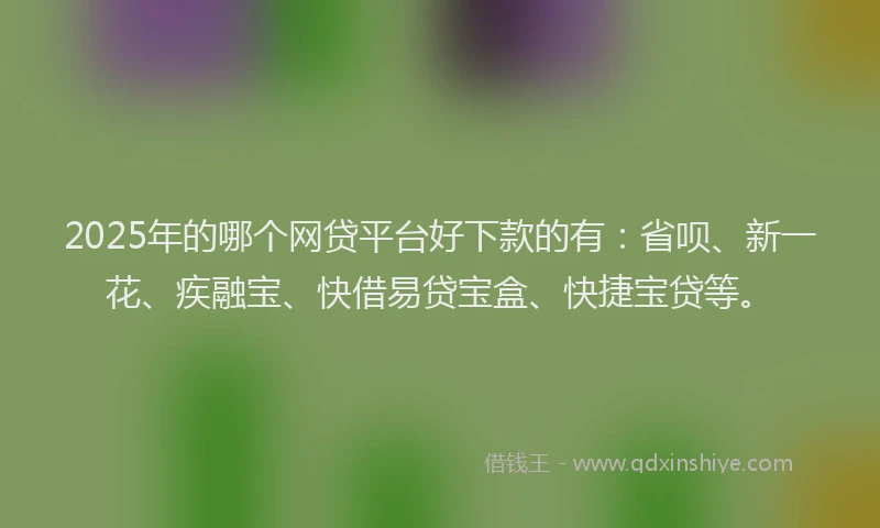 2025年的哪个网贷平台好下款的有：省呗、新一花、疾融宝、快借易贷宝盒、快捷宝贷等。