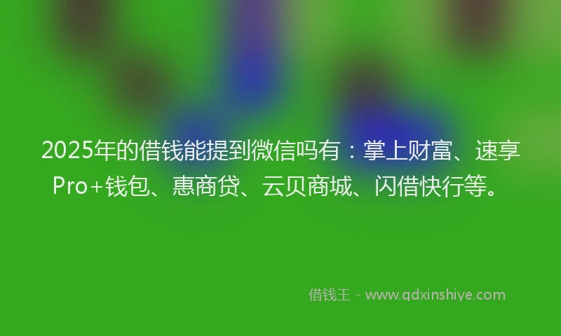2025年的借钱能提到微信吗有：掌上财富、速享Pro+钱包、惠商贷、云贝商城、闪借快行等。