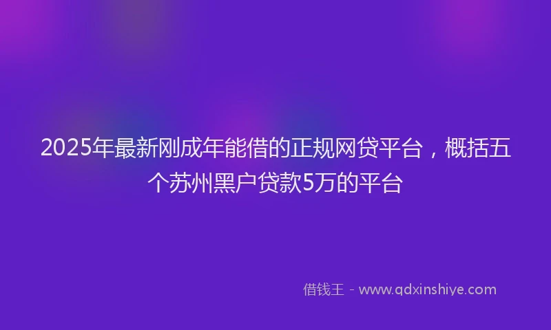 2025年最新刚成年能借的正规网贷平台，概括五个苏州黑户贷款5万的平台