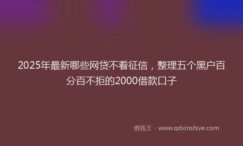 2025年最新哪些网贷不看征信，整理五个黑户百分百不拒的2000借款口子