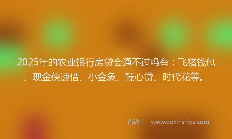 2025年的农业银行房贷会通不过吗有：飞猪钱包、现金侠速借、小金象、臻心贷、时代花等。
