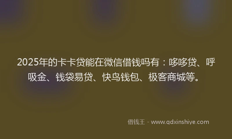 2025年的卡卡贷能在微信借钱吗有：哆哆贷、呼吸金、钱袋易贷、快鸟钱包、极客商城等。