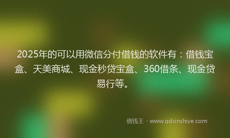2025年的可以用微信分付借钱的软件有：借钱宝盒、天美商城、现金秒贷宝盒、360借条、现金贷易行等。