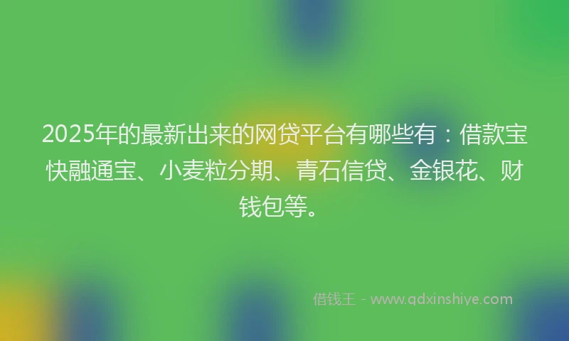 2025年的最新出来的网贷平台有哪些有：借款宝快融通宝、小麦粒分期、青石信贷、金银花、财钱包等。