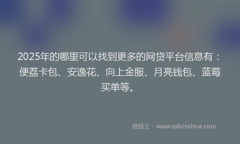 2025年的哪里可以找到更多的网贷平台信息有：便荔卡包、安逸花、向上金服、月亮钱包、蓝莓买单等。