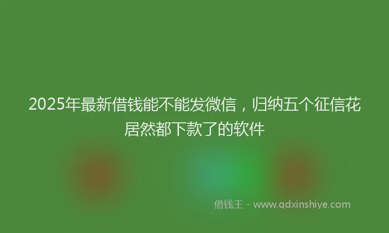 2025年最新借钱能不能发微信，归纳五个征信花居然都下款了的软件