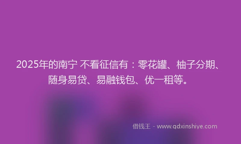 2025年的南宁 不看征信有：零花罐、柚子分期、随身易贷、易融钱包、优一租等。