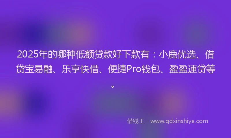 2025年的哪种低额贷款好下款有：小鹿优选、借贷宝易融、乐享快借、便捷Pro钱包、盈盈速贷等。