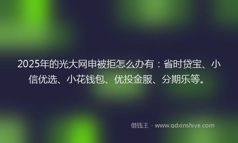 2025年的光大网申被拒怎么办有：省时贷宝、小信优选、小花钱包、优投金服、分期乐等。