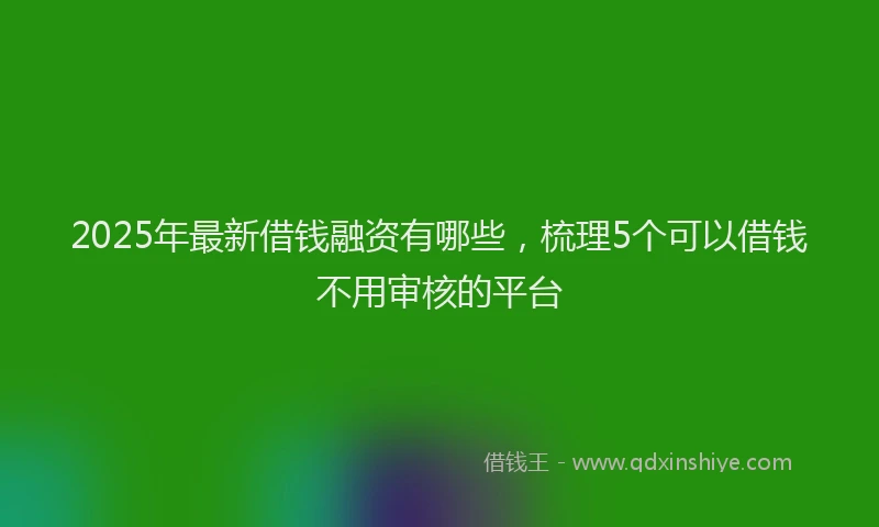 2025年最新借钱融资有哪些，梳理5个可以借钱不用审核的平台
