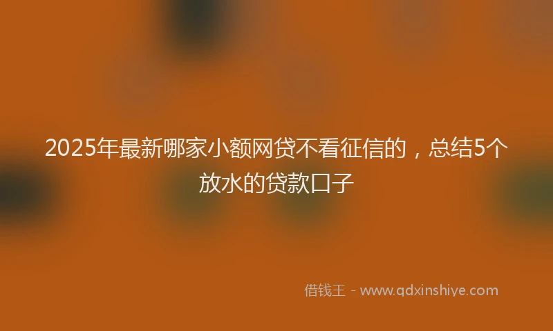2025年最新哪家小额网贷不看征信的，总结5个放水的贷款口子