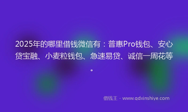 2025年的哪里借钱微信有：普惠Pro钱包、安心贷宝融、小麦粒钱包、急速易贷、诚信一周花等。