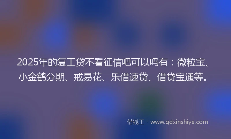 2025年的复工贷不看征信吧可以吗有：微粒宝、小金鹤分期、戒易花、乐借速贷、借贷宝通等。