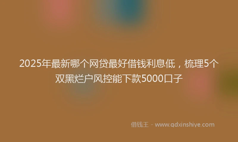 2025年最新哪个网贷最好借钱利息低，梳理5个双黑烂户风控能下款5000口子