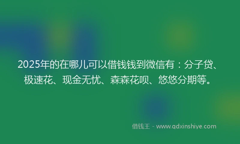 2025年的在哪儿可以借钱钱到微信有：分子贷、极速花、现金无忧、森森花呗、悠悠分期等。