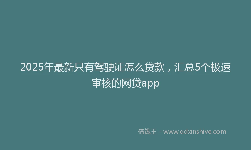 2025年最新只有驾驶证怎么贷款，汇总5个极速审核的网贷app