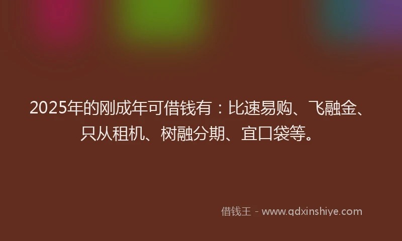 2025年的刚成年可借钱有：比速易购、飞融金、只从租机、树融分期、宜口袋等。