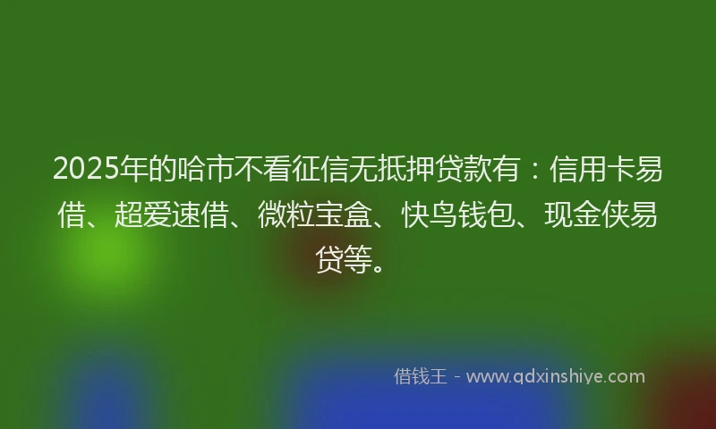 2025年的哈市不看征信无抵押贷款有：信用卡易借、超爱速借、微粒宝盒、快鸟钱包、现金侠易贷等。