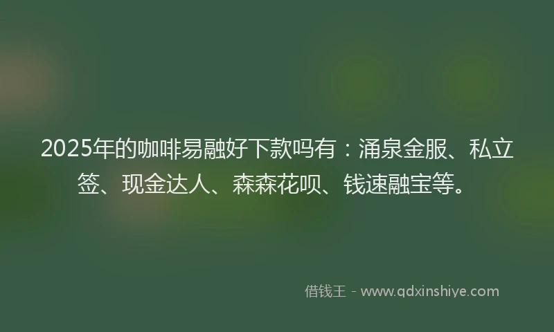 2025年的咖啡易融好下款吗有：涌泉金服、私立签、现金达人、森森花呗、钱速融宝等。