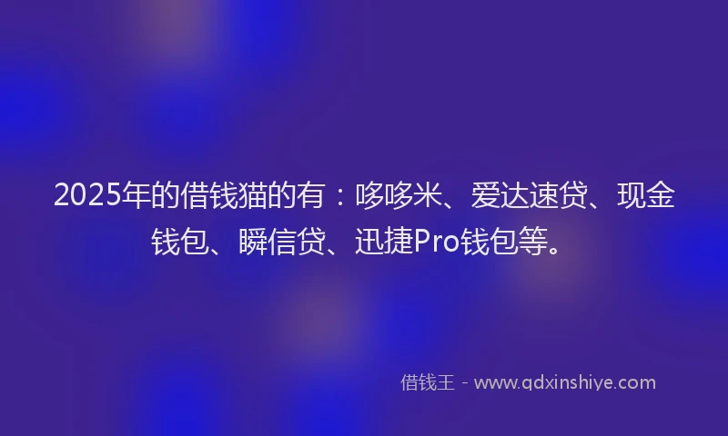 2025年的借钱猫的有：哆哆米、爱达速贷、现金钱包、瞬信贷、迅捷Pro钱包等。