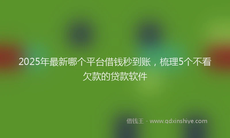 2025年最新哪个平台借钱秒到账，梳理5个不看欠款的贷款软件