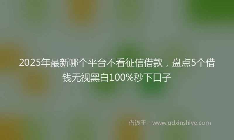 2025年最新哪个平台不看征信借款，盘点5个借钱无视黑白100%秒下口子