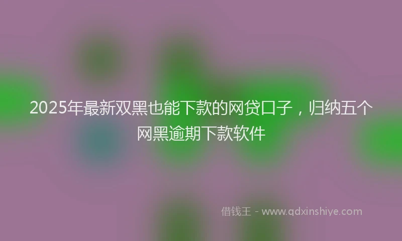 2025年最新双黑也能下款的网贷口子，归纳五个网黑逾期下款软件