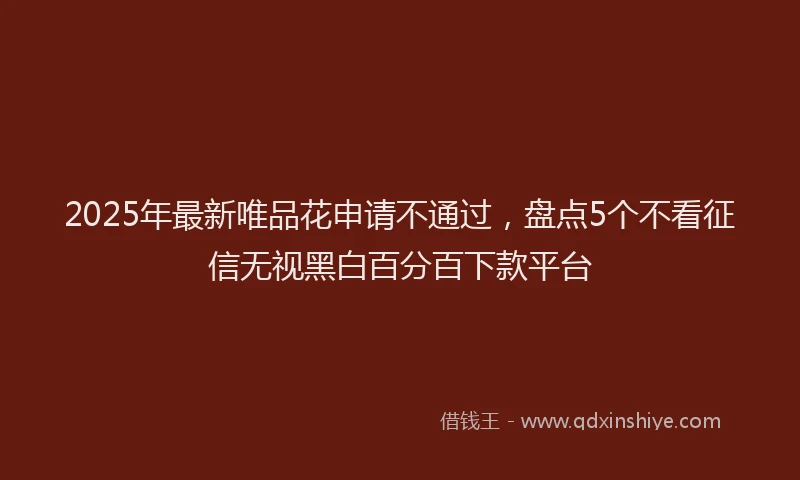 2025年最新唯品花申请不通过，盘点5个不看征信无视黑白百分百下款平台