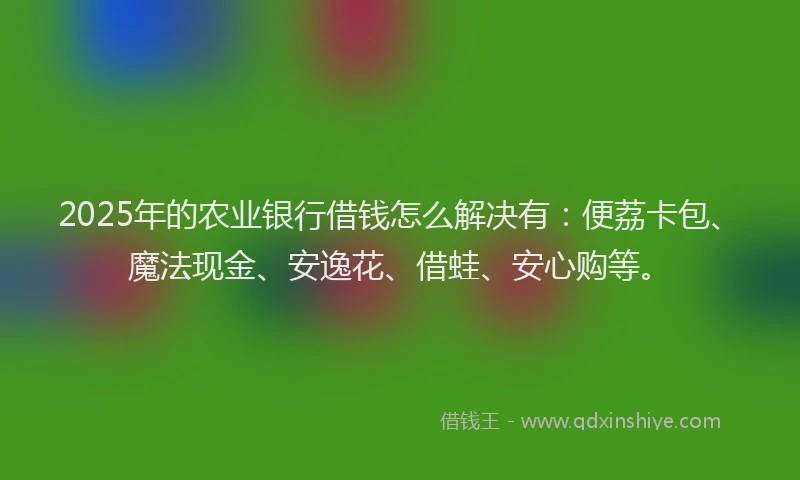 2025年的农业银行借钱怎么解决有：便荔卡包、魔法现金、安逸花、借蛙、安心购等。