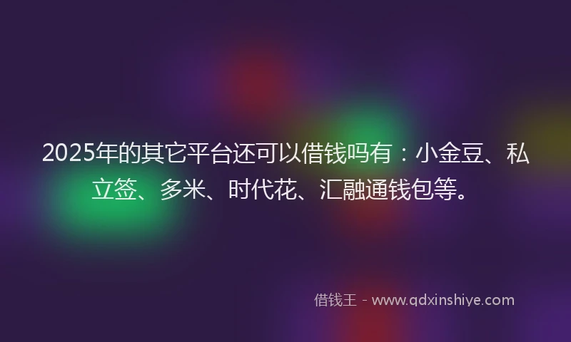 2025年的其它平台还可以借钱吗有：小金豆、私立签、多米、时代花、汇融通钱包等。