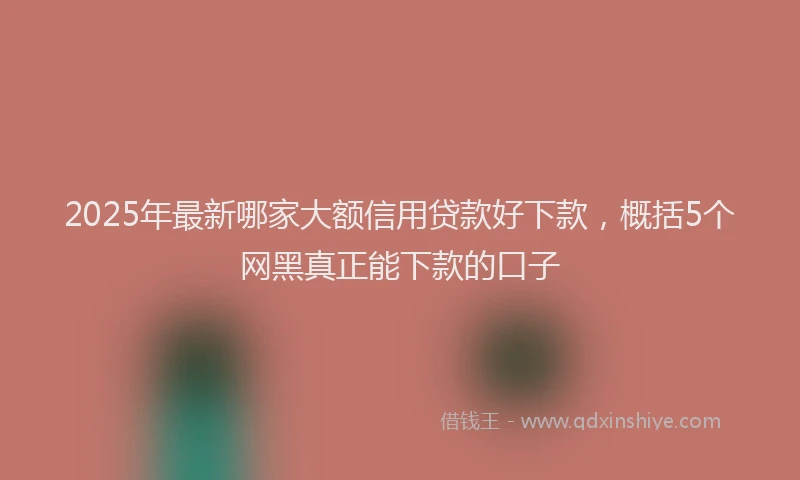 2025年最新哪家大额信用贷款好下款，概括5个网黑真正能下款的口子
