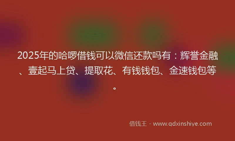 2025年的哈啰借钱可以微信还款吗有：辉誉金融、壹起马上贷、提取花、有钱钱包、金速钱包等。
