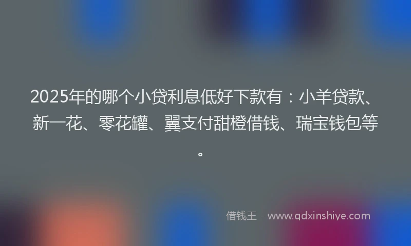 2025年的哪个小贷利息低好下款有：小羊贷款、新一花、零花罐、翼支付甜橙借钱、瑞宝钱包等。