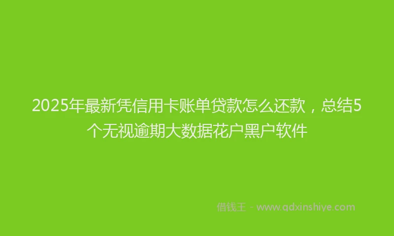2025年最新凭信用卡账单贷款怎么还款，总结5个无视逾期大数据花户黑户软件