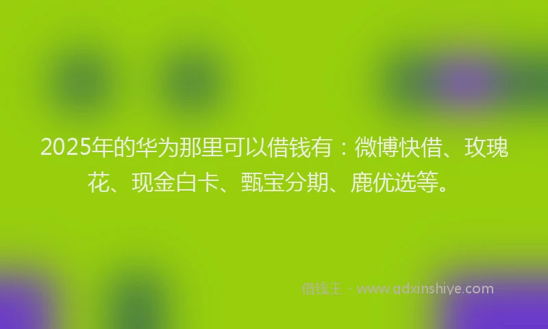 2025年的华为那里可以借钱有：微博快借、玫瑰花、现金白卡、甄宝分期、鹿优选等。